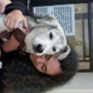 Meet your Posher, Carmen